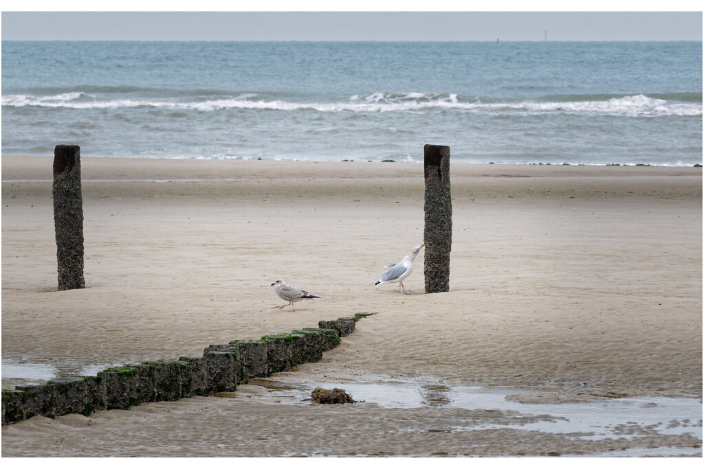 Nordseeküste bei Domburg