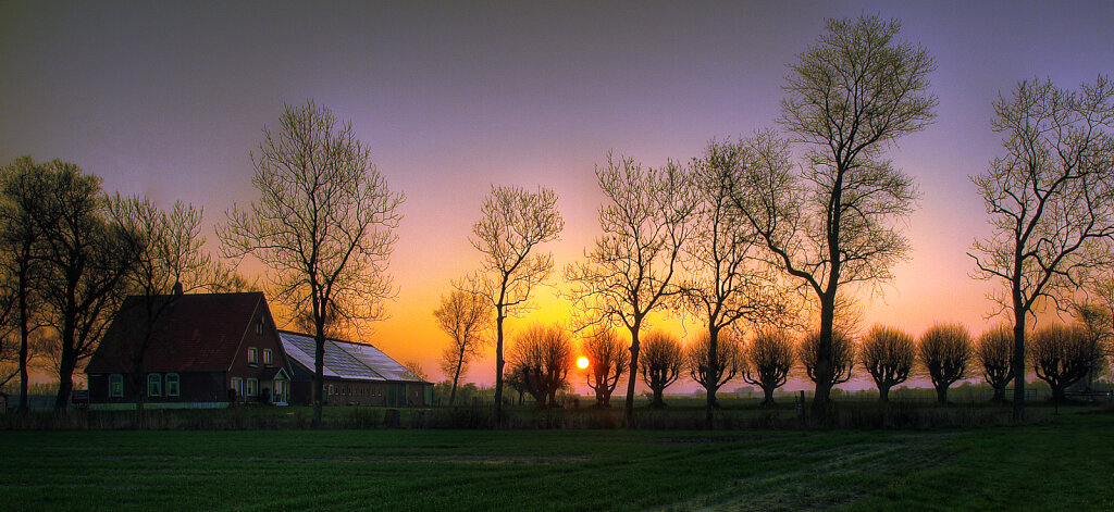 Allee-Bearbeitet.jpg